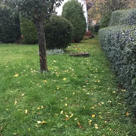 Alena Hutarova -chalupa Dom wakacyjny *