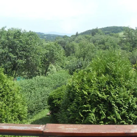 Alena Hutarova -chalupa Tatil Evi Bzince pod Javorinou