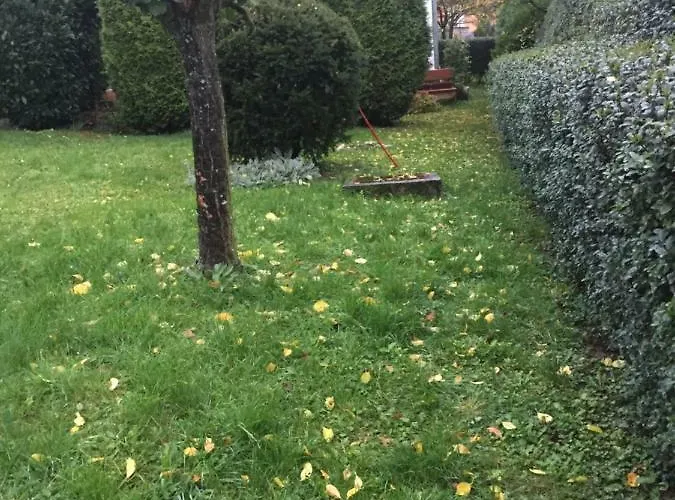 Alena Hutarova -chalupa Casa de Férias *