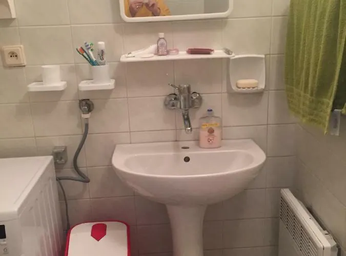 Alena Hutarova -chalupa * Bzince pod Javorinou