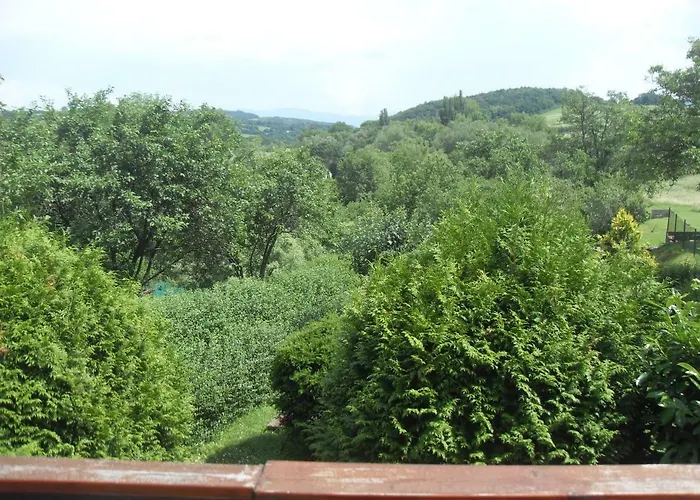 Alena Hutarova -chalupa 度假居 Bzince pod Javorinou